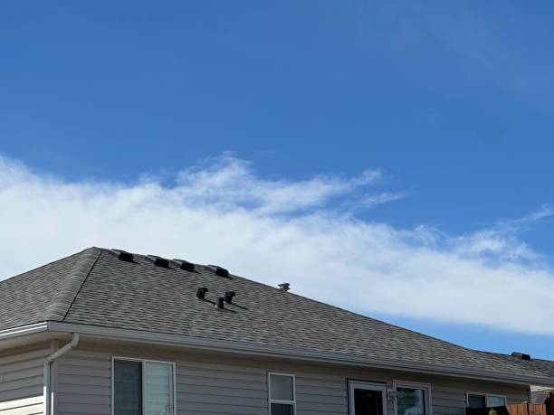 Best Roof Coating Services  in St Stephens, NC